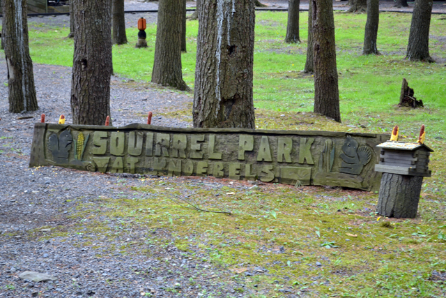 squirrel park sign